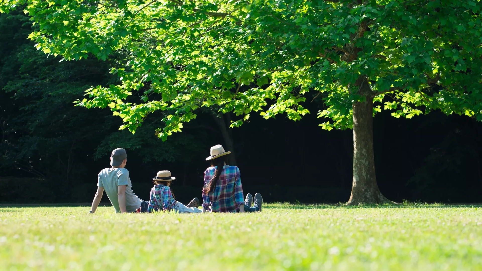 Family sitting under a tree in a bright, lush grass field. Family sitting under a tree in a bright, lush grass field.