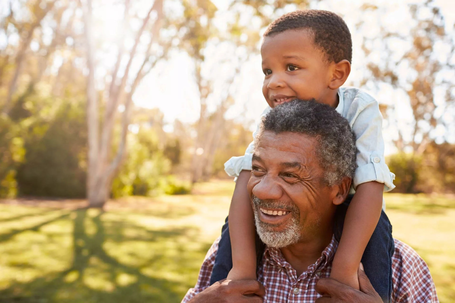 A Grandfather carrying his grandchild on his shoulder in a field. A Grandfather carrying his grandchild on his shoulder in a field.