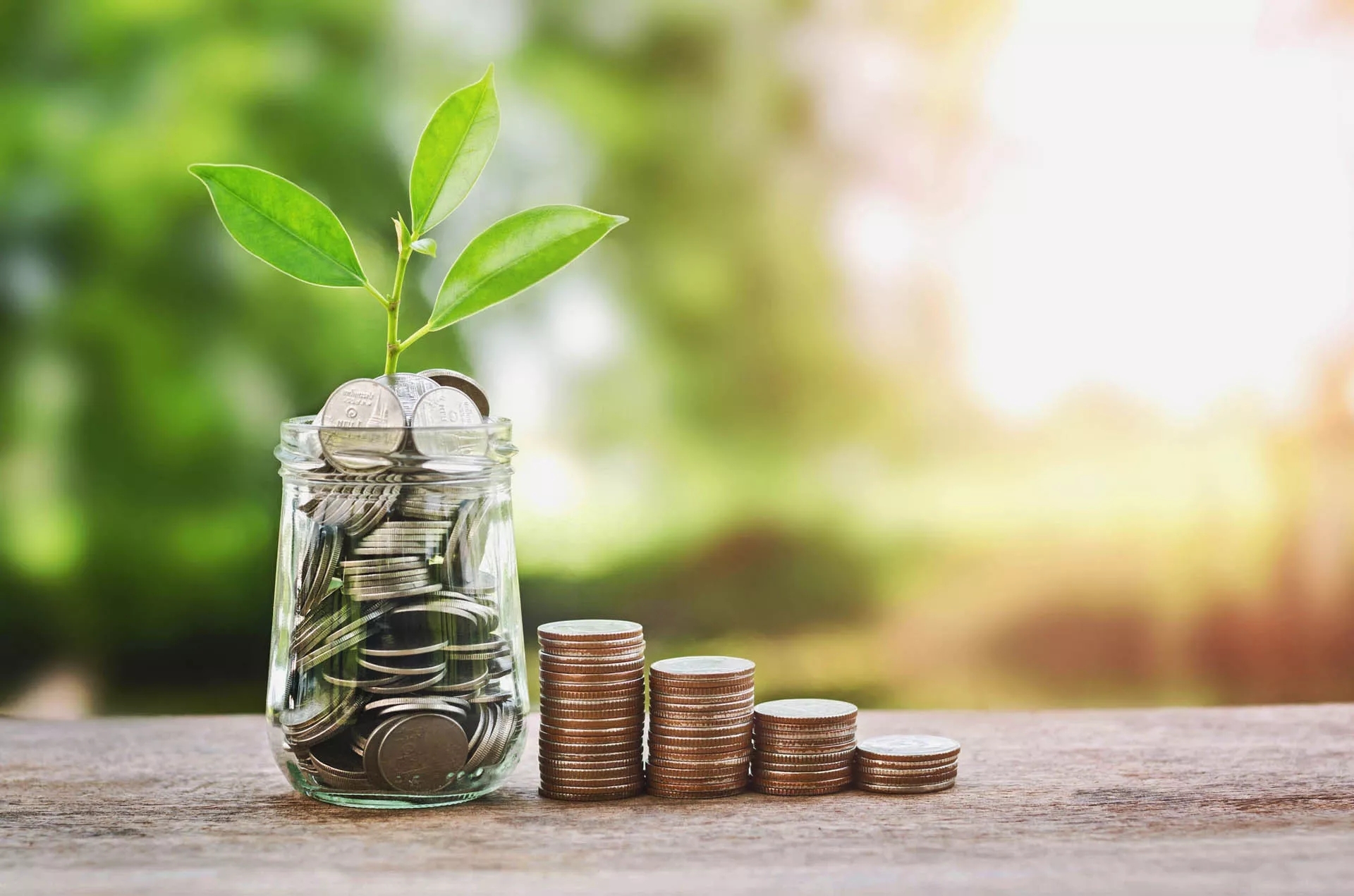 A jar of coins next to a descending stack of copper coins on a wooden table. There is a small plant growing out of the jar. A jar of coins next to a descending stack of copper coins on a wooden table. There is a small plant growing out of the jar.