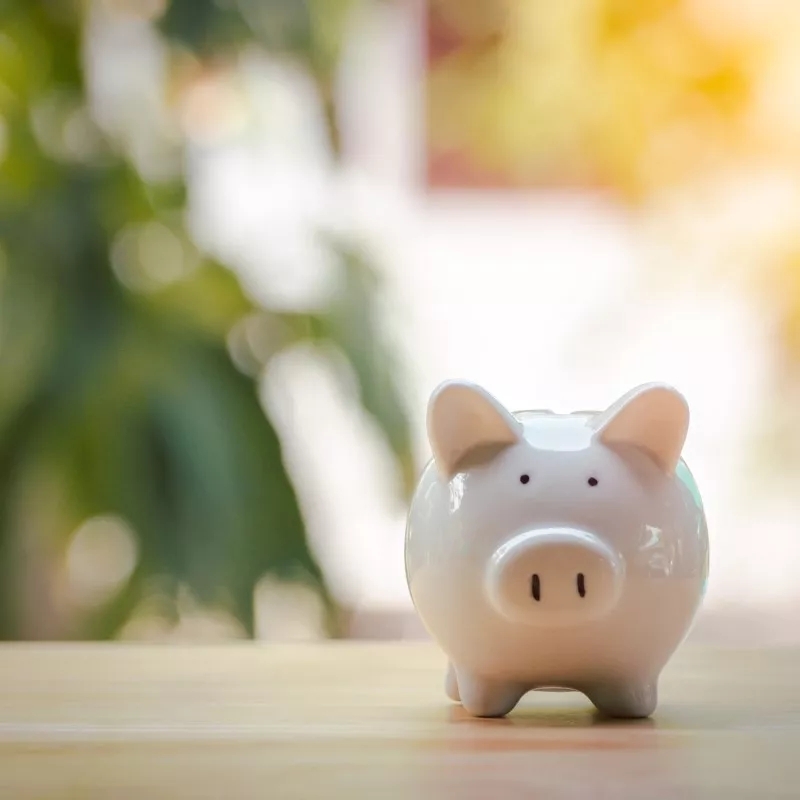 A piggy bank sitting on a table. A tree and wall are illuminated in the background. A piggy bank sitting on a table. A tree and wall are illuminated in the background.